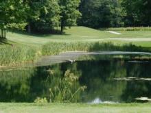 Invasive Species Bill Introduced by Senator Allen to Improve Water Quality